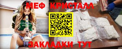 стаф Донской