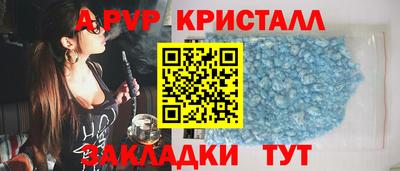 стаф Донской
