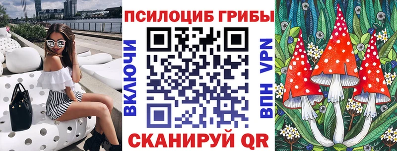Псилоцибиновые грибы мицелий  купить закладку  Екатеринбург 