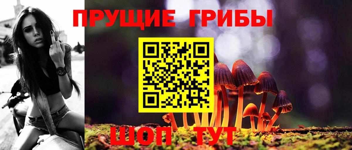 Псилоцибиновые грибы Psilocybine cubensis  Вход с VPN  Галлюциногенные грибы мицелий  где найти   Екатеринбург 